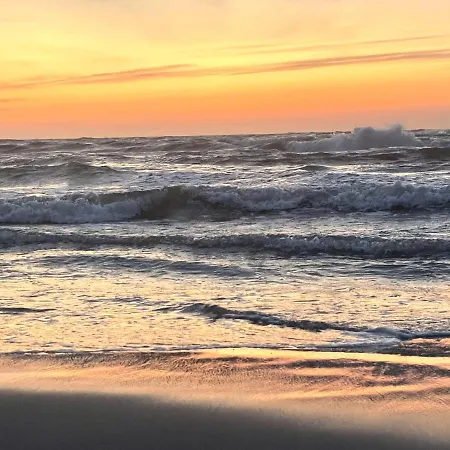 Trzy - 3 Smoldzinski Las