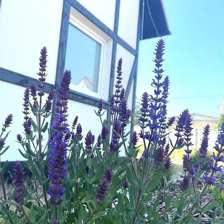 Holiday home Trzy - 3 *
