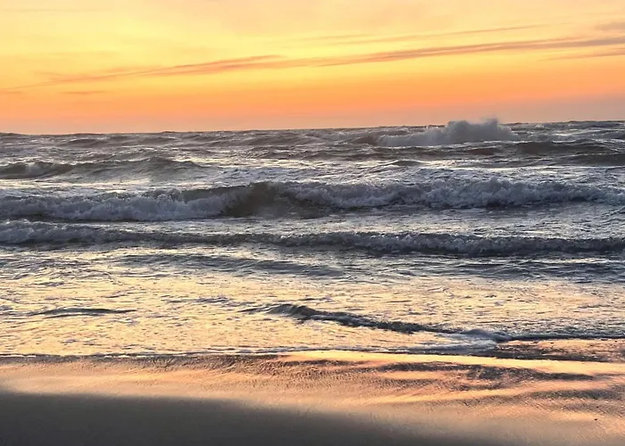 Trzy - 3 Smoldzinski Las